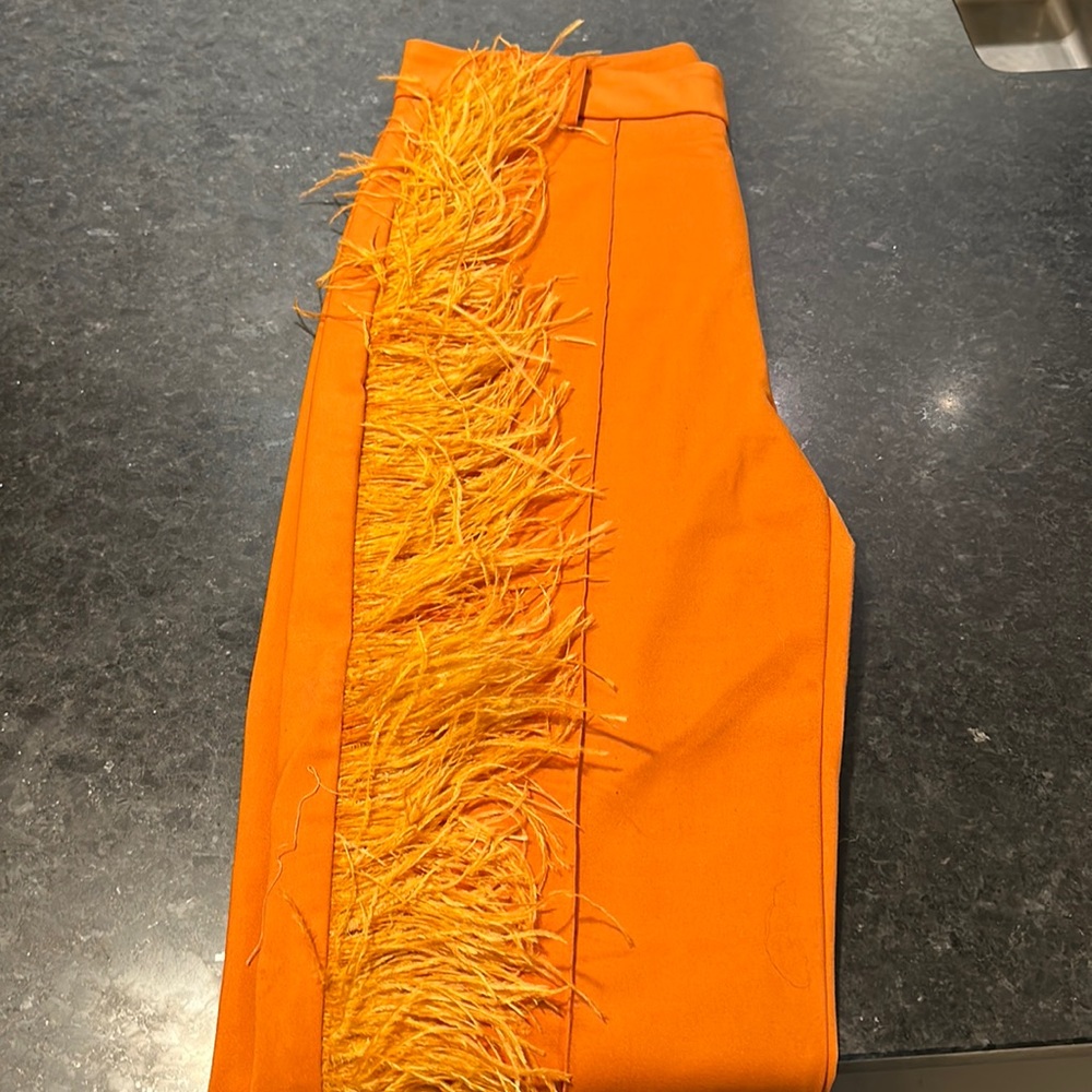 Hanifa pants with feathers!